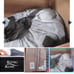 King coil twin air mattress