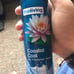 air freshener