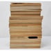 Newbery Honor Books Lot of 20 Homeschool Classroom Teacher Newberry Award Bundle
