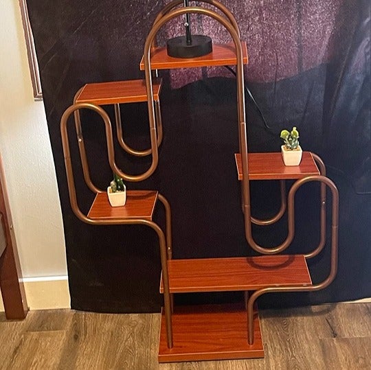 Cactus Plant Stand Indoor, Metal Plant Shelf For Indoor Plants Multiple