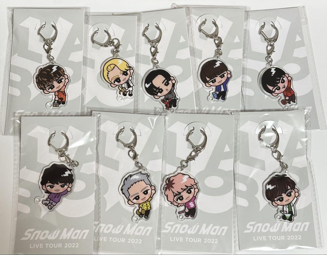 SnowMan Snow Chill Hanging Series Keychain 9 Member Complete Set