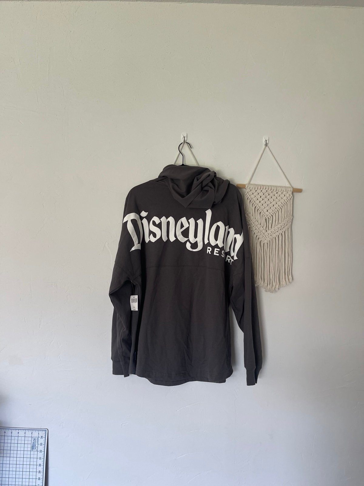 Disneyland Resort Spirit Jersey Hoodie Gray Unisex