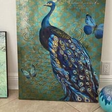 Canvas peacock