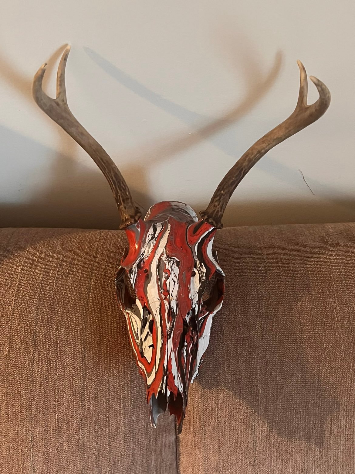 Vermont paint dipped whitetail deer skull