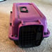 Pet kitten care bundle- mini sleeping house, one litter box and one pet carrier