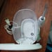 Waterpik
