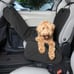 Pet dirty dog premium seat cover cat pets black color brand new