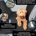 Pet dirty dog premium seat cover cat pets black color brand new