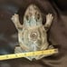Vintage Brass Frog Garden Sprinkler
