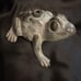 Vintage Brass Frog Garden Sprinkler