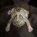 Vintage Brass Frog Garden Sprinkler