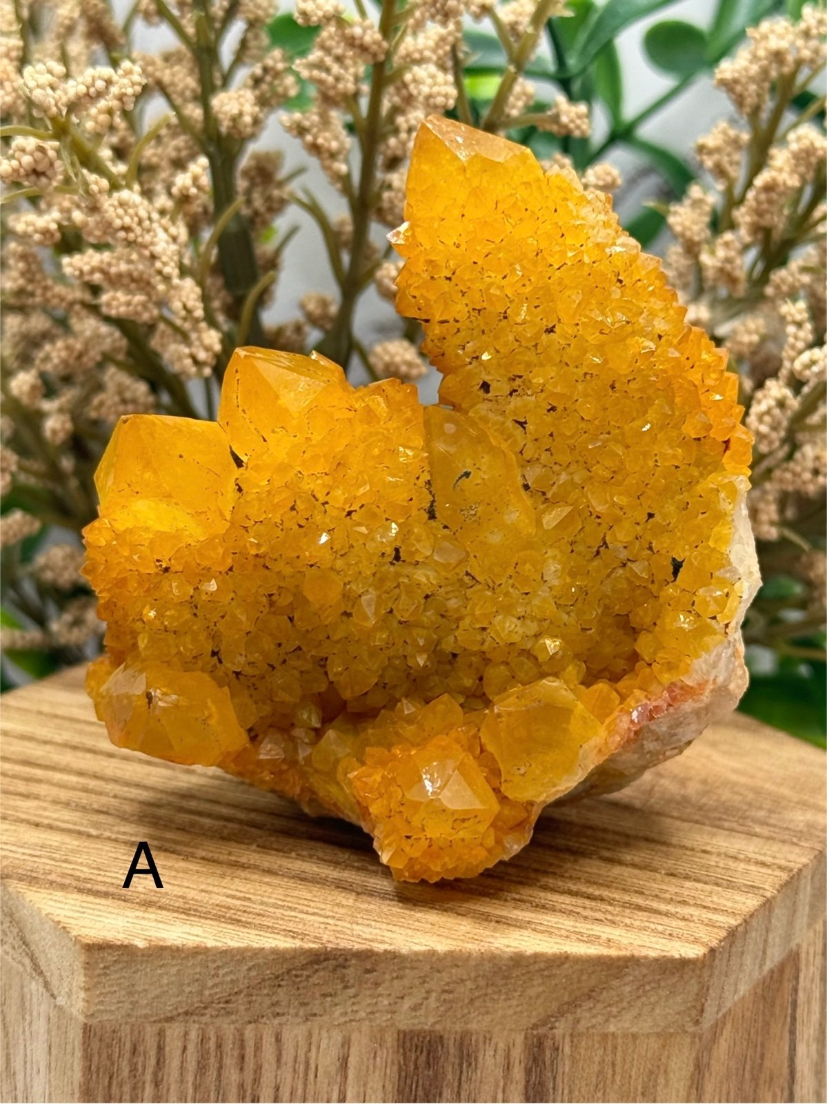 Sunrise Spirit Quartz (Cactus Quartz) from South Africa