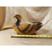 Vintage MCM Napcoware Duck Planter Ceramic Wood Grain Yellow Orange Brown Decor