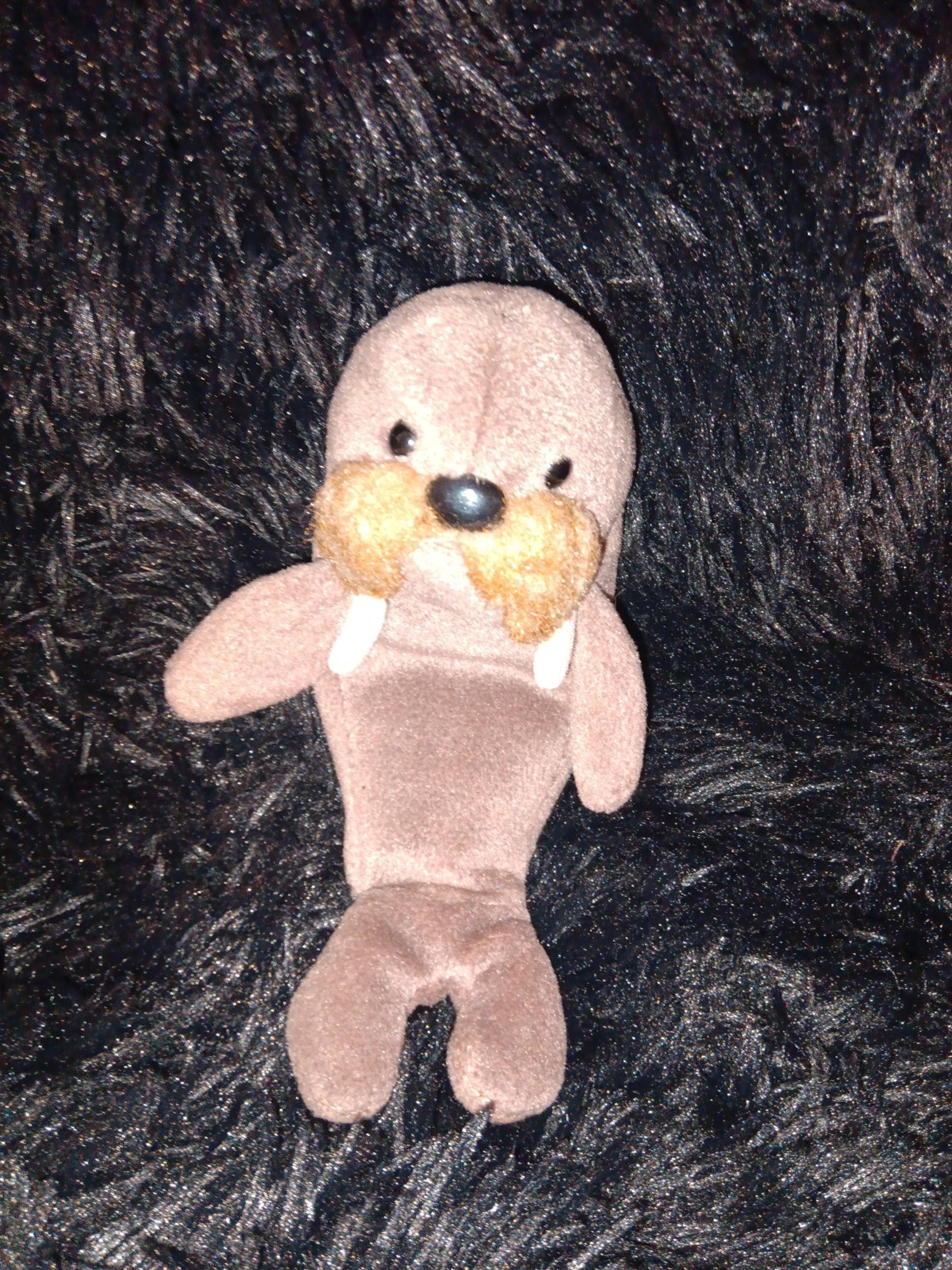 Beanie Baby