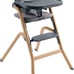 Caspio Convertible Baby High Chair