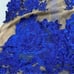 CQ by CQ Brand Sheer and Royal Blue Floral Applique Bodysuit Size Small