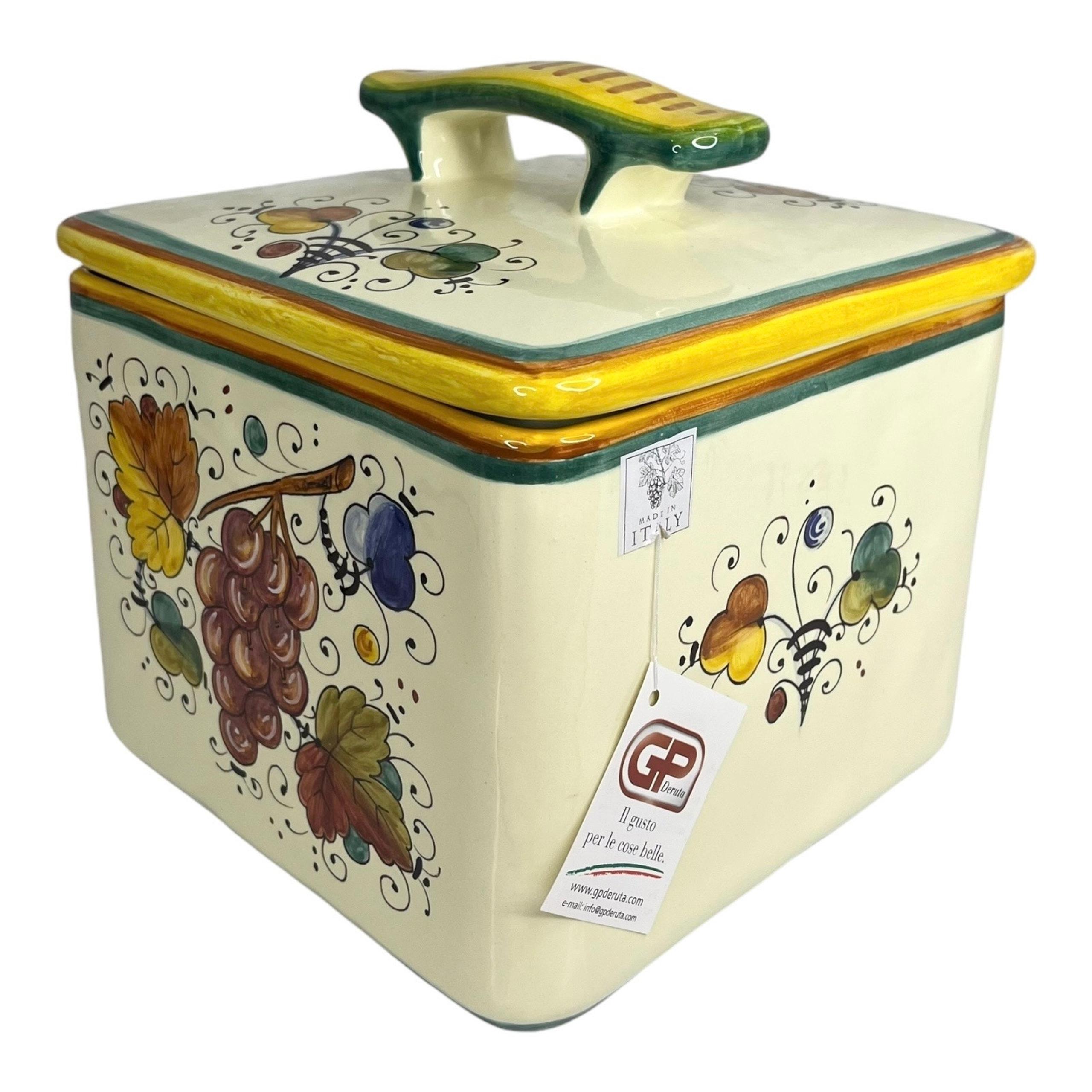 NEW Deruta BISCOTTI COOKIE JAR Biscuit Canister & Lid 8" Square Italian Pottery