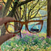 Anthropologie eyewear