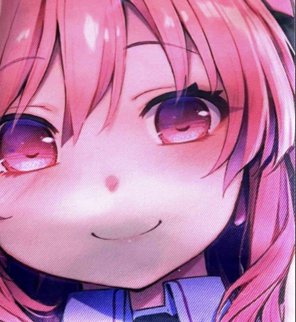 SDVX Long Cushion Cover, Reiceis