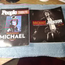 Michael Jackson tribute collectible books.x2.shipping included