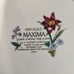MIKASA MAXIMA CAJ14 SUMMER SYMPHONY 10.75 inch Dinner Plates (4)