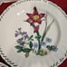 MIKASA MAXIMA CAJ14 SUMMER SYMPHONY 10.75 inch Dinner Plates (4)
