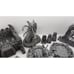 26 Piece Den of Alien Evil Mindflayer