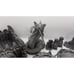 26 Piece Den of Alien Evil Mindflayer