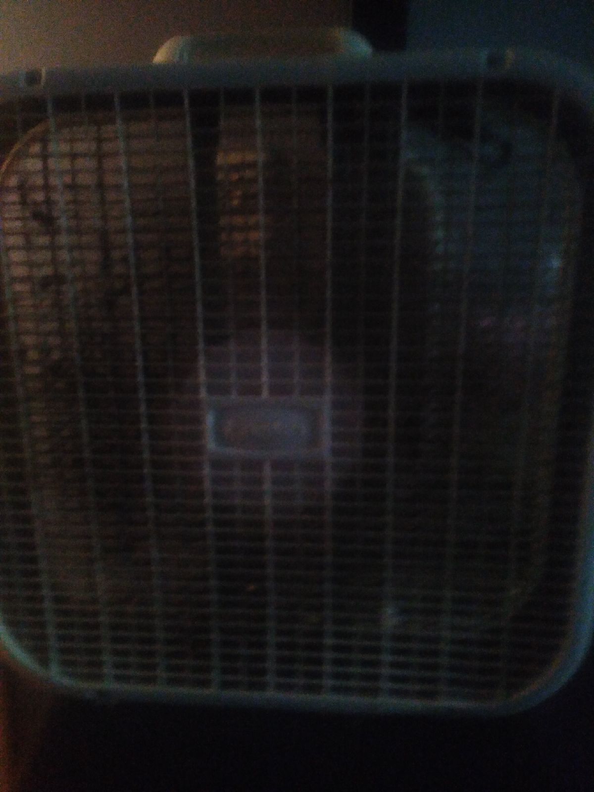 A fan