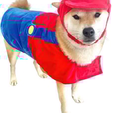 Two dog halloween costumes Mario and Luigi
