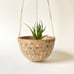 Hanging Ceramic Planter