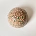 Hanging Ceramic Planter