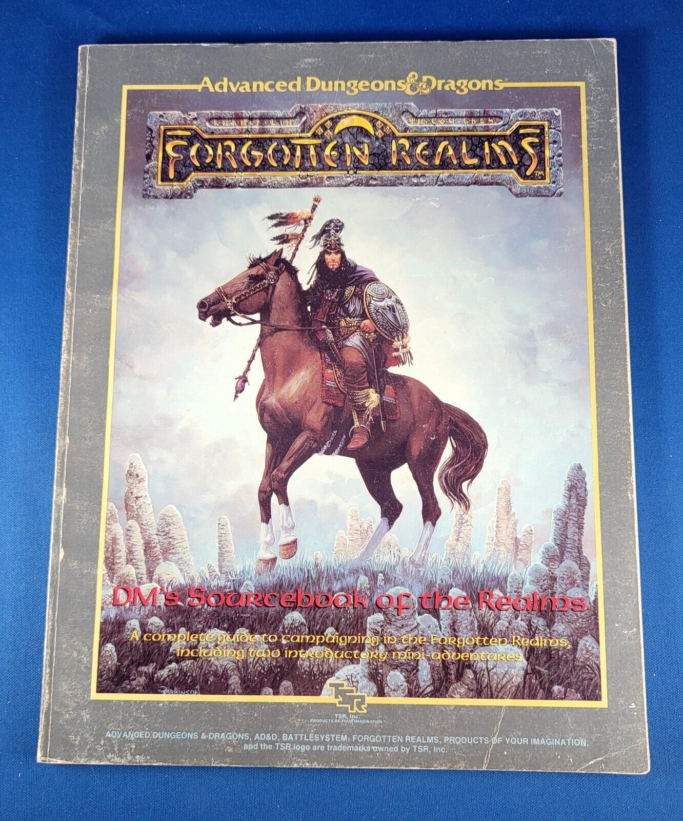 Advanced Dungeons & Dragons Forgotten Realms DMs Sourcebook of the Realms TSR