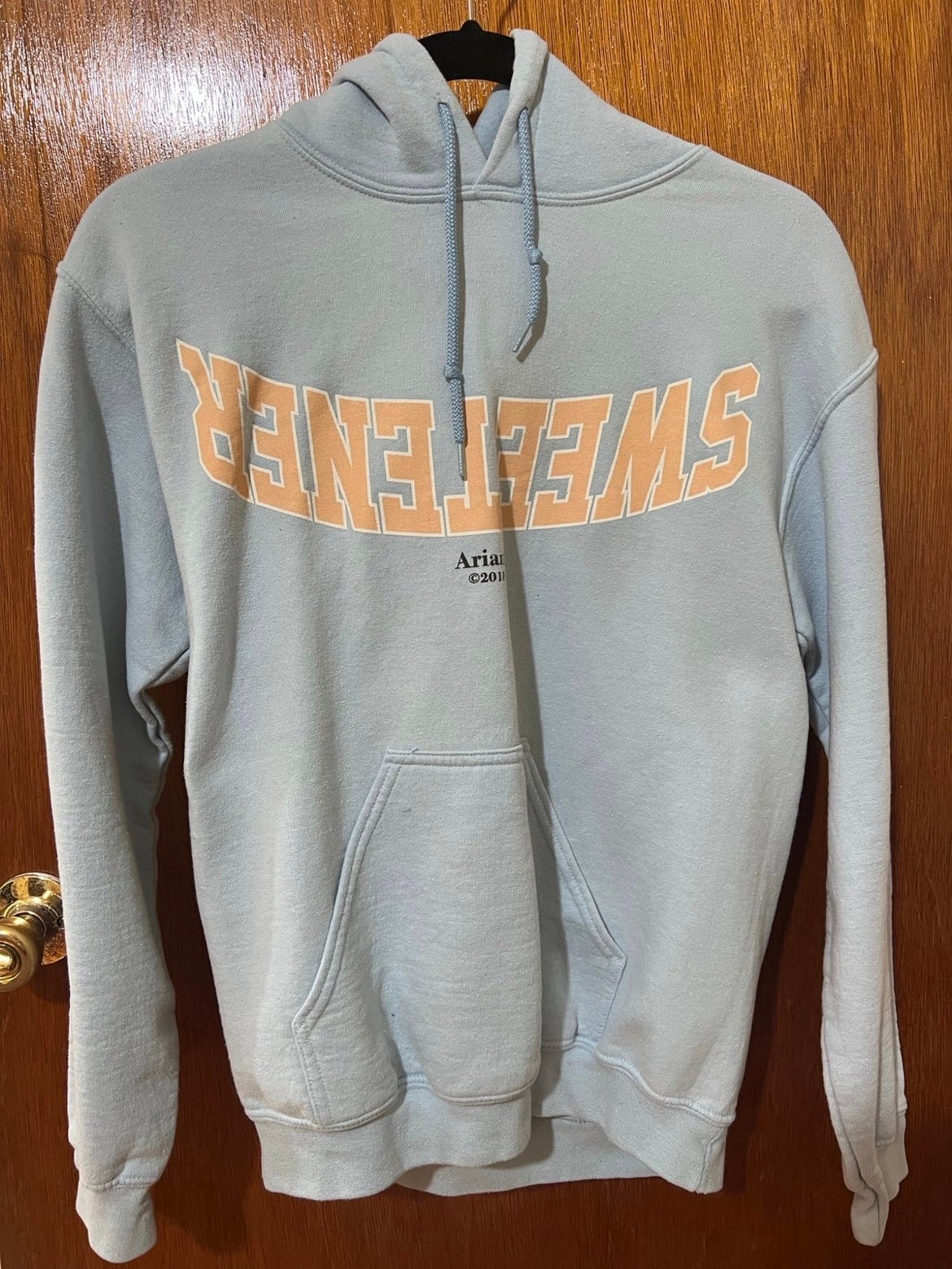 Ariana Grande Blue Hoodies for Men Mercari