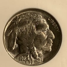 1929 Buffalo nickel NGC Graded MS 64