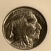 1929 Buffalo nickel NGC Graded MS 64