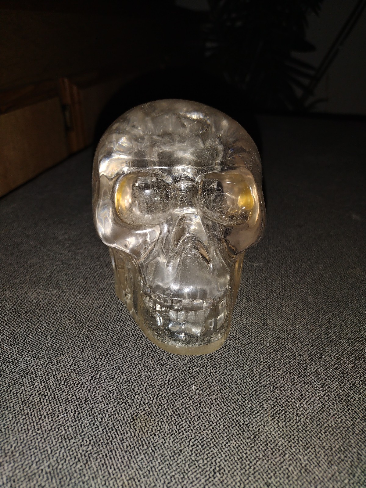 Skull