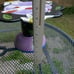 Ceramic Cake Stand Groovy Dog and Cat Chaleur K Gelff L Cheng 12 inch x 7.5 inch