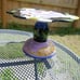 Ceramic Cake Stand Groovy Dog and Cat Chaleur K Gelff L Cheng 12 inch x 7.5 inch