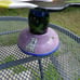 Ceramic Cake Stand Groovy Dog and Cat Chaleur K Gelff L Cheng 12 inch x 7.5 inch