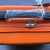 Halloween Peko hand carry suitcase