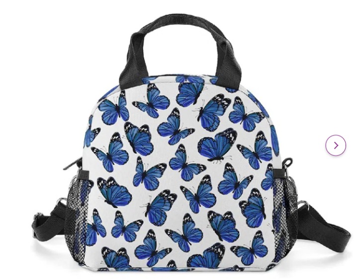 Insulated Lunch Box