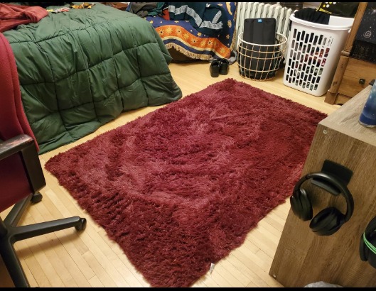 Fluffy Area Rug for Living Room Bedroom, 4'x6' Soft Modern Indoor Plush
