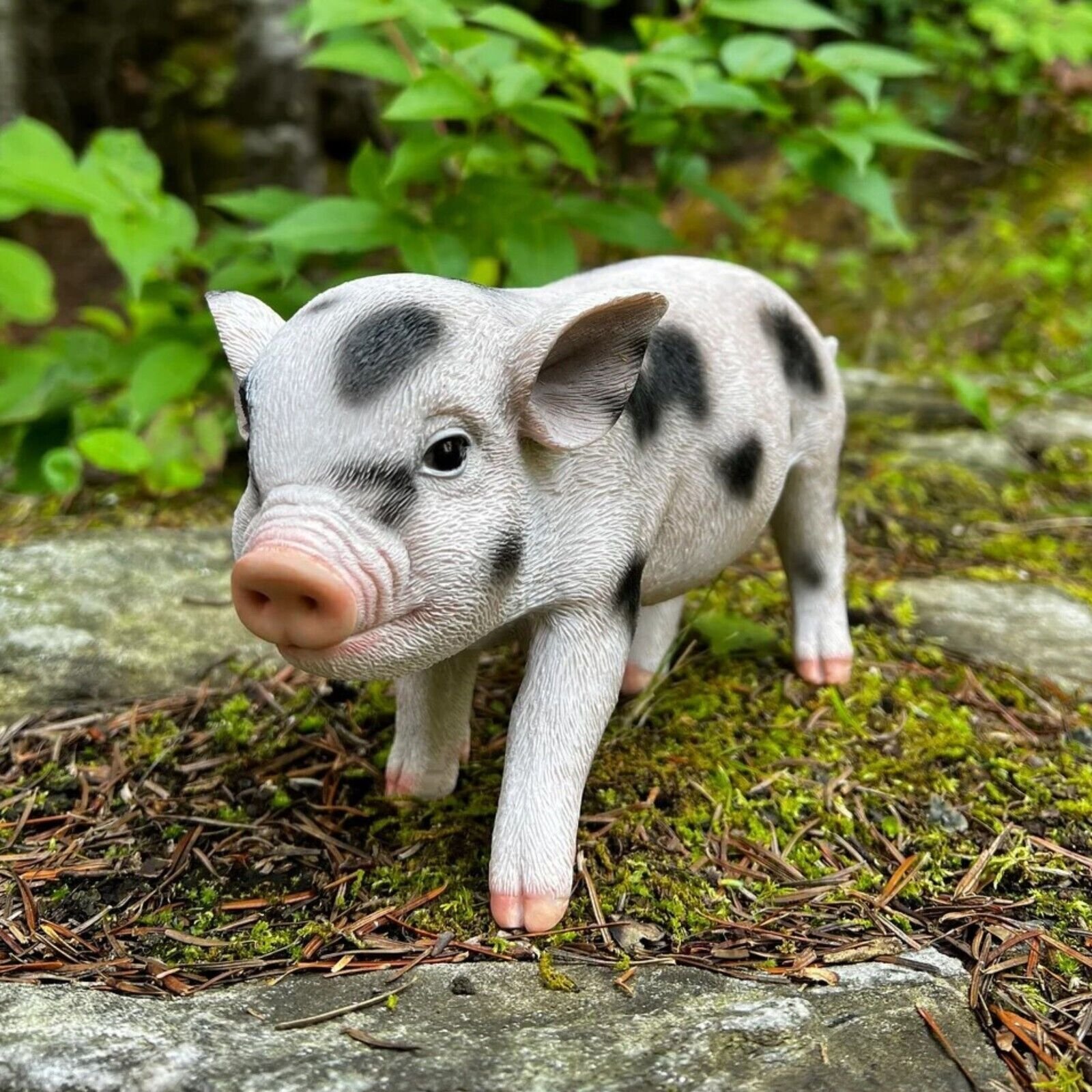 Adorable Realistic Animal Farm Baby Pig Piglet Spotted Garden Statue Yard Decor