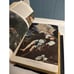 holy bible good samaritan edition clarified Consolidated book publishers