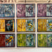 Team plasma pokemon