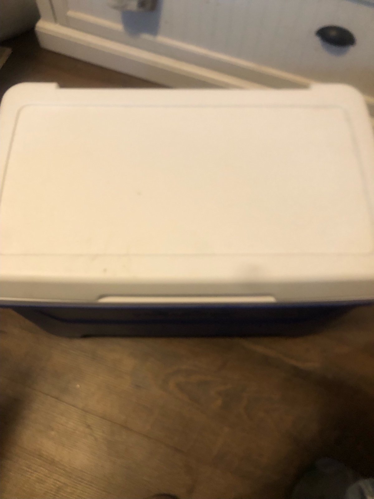 Igloo Cooler
