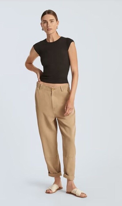 NWT Everlane Relaxed Fit Tencel Chinos Pants, Size 2, MSRP 118, Dark Khaki