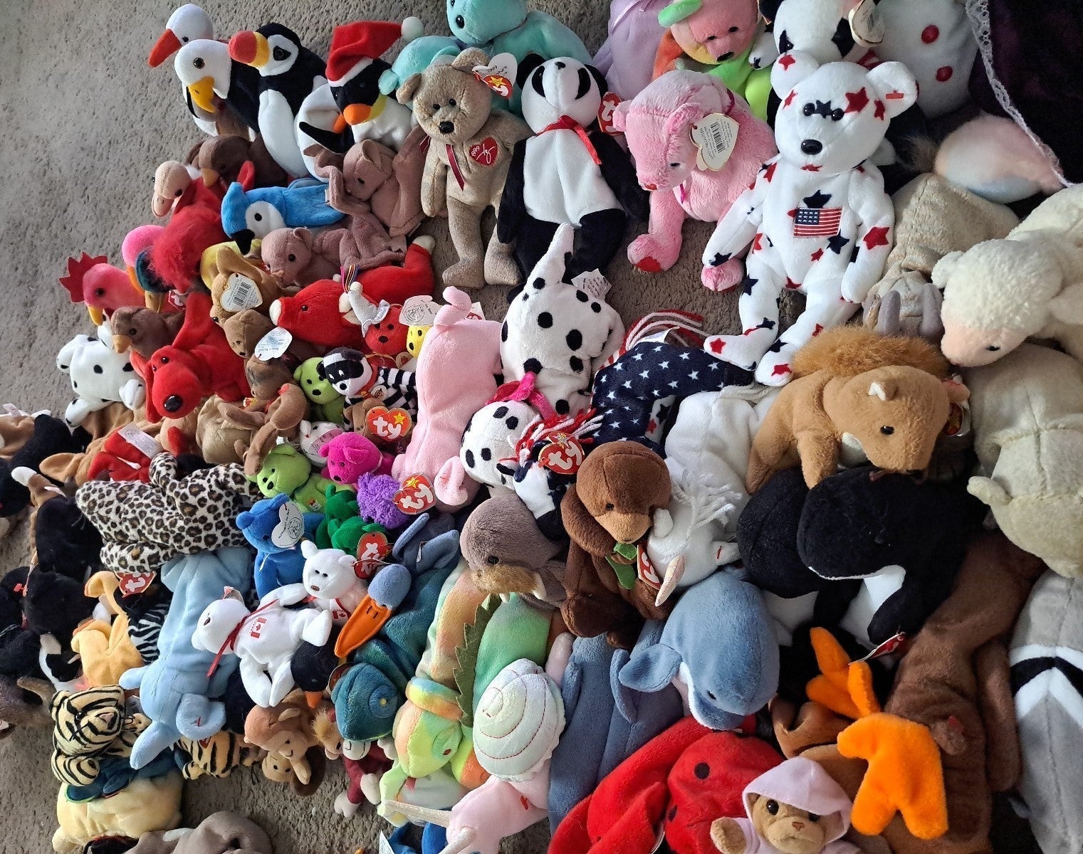 Beanie Baby Lot ty