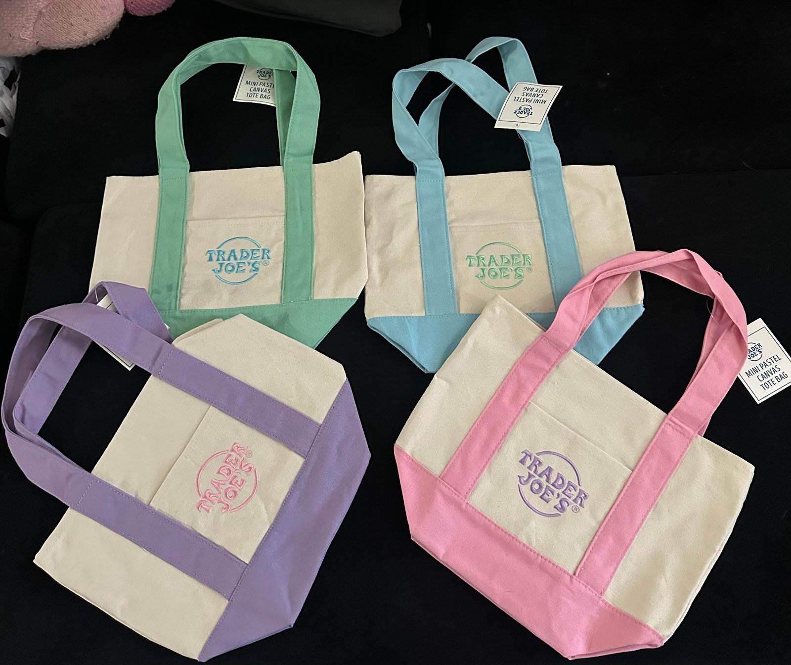 LIMITED EDITION Trader Joe’s Pastel Mini Tote Bag